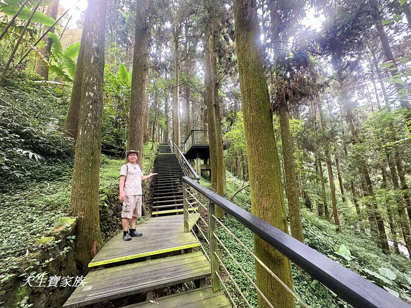 嘉義景點、奮起湖、奮起步道、奮起湖步道、奮起湖神社、奮起湖檜木步道、奮起湖天氣