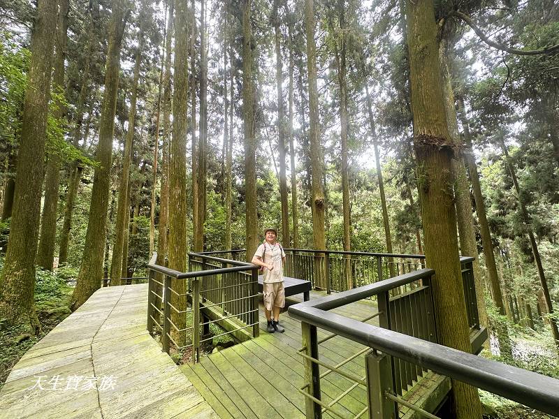 嘉義景點、奮起湖、奮起步道、奮起湖步道、奮起湖神社、奮起湖檜木步道、奮起湖天氣