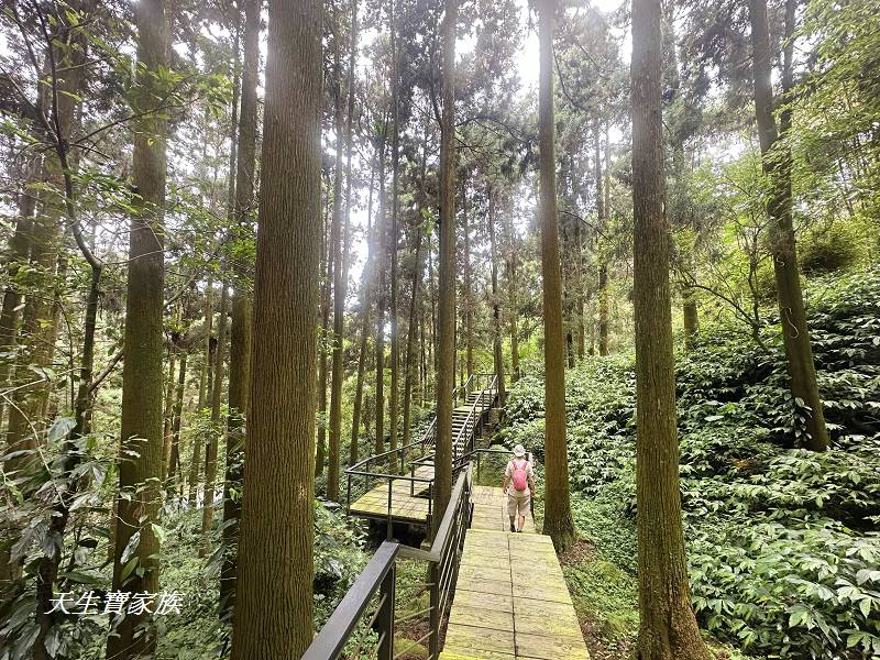 嘉義景點、奮起湖、奮起步道、奮起湖步道、奮起湖神社、奮起湖檜木步道、奮起湖天氣