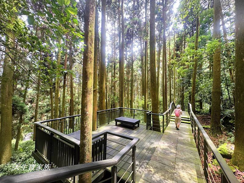 嘉義景點、奮起湖、奮起步道、奮起湖步道、奮起湖神社、奮起湖檜木步道、奮起湖天氣