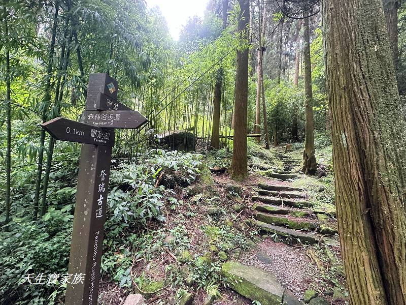 嘉義景點、奮起湖、奮起步道、奮起湖步道、奮起湖神社、奮起湖檜木步道、奮起湖天氣