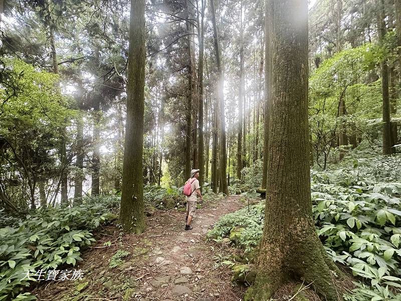 嘉義景點、奮起湖、奮起步道、奮起湖步道、奮起湖神社、奮起湖檜木步道、奮起湖天氣