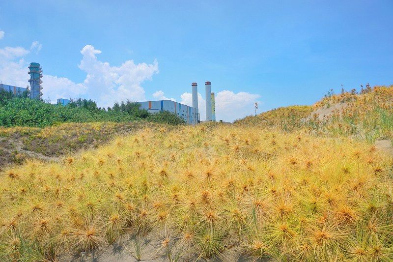 苗栗景點、通霄景點、2024通霄沙雕藝術節、通宵海水浴場門票、通霄海水浴場、通霄海水浴場附近景點、通霄沙雕藝術節