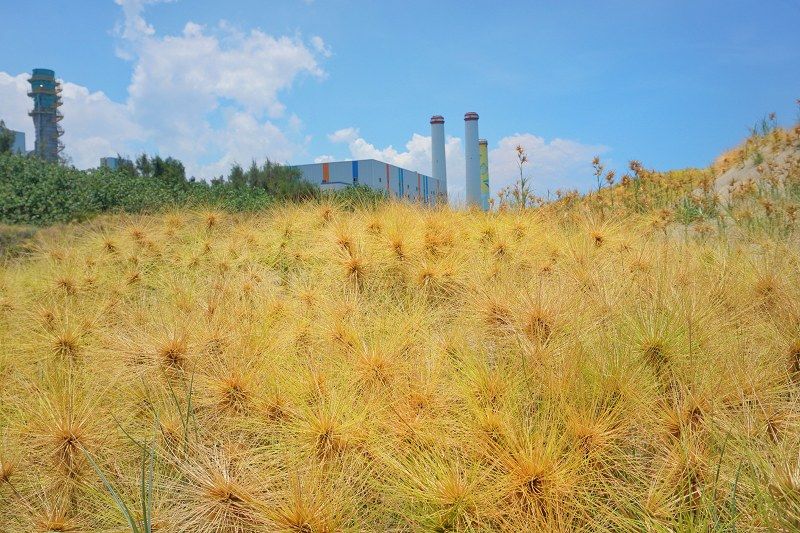 苗栗景點、通霄景點、2024通霄沙雕藝術節、通宵海水浴場門票、通霄海水浴場、通霄海水浴場附近景點、通霄沙雕藝術節