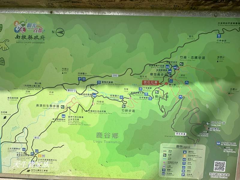 南投景點、溪頭步道、溪頭私房景點、和雅挑竹古道4號-新坪步道、挑竹古道4號、新坪步道、和雅挑竹古道7號、和雅挑竹古道、鹿谷挑竹古道、