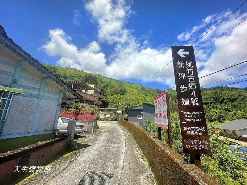 南投景點、溪頭步道、溪頭私房景點、和雅挑竹古道4號-新坪步道、挑竹古道4號、新坪步道、和雅挑竹古道7號、和雅挑竹古道、鹿谷挑竹古道、