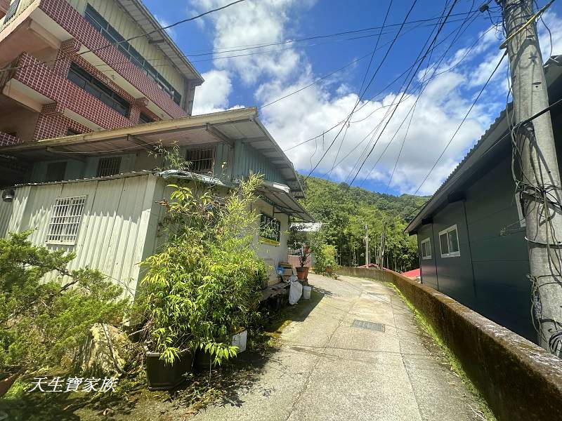 南投景點、溪頭步道、溪頭私房景點、和雅挑竹古道4號-新坪步道、挑竹古道4號、新坪步道、和雅挑竹古道7號、和雅挑竹古道、鹿谷挑竹古道、