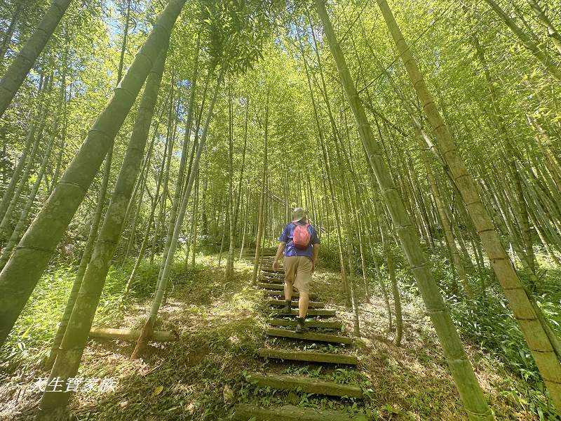 南投景點、溪頭步道、溪頭私房景點、和雅挑竹古道4號-新坪步道、挑竹古道4號、新坪步道、和雅挑竹古道7號、和雅挑竹古道、鹿谷挑竹古道、