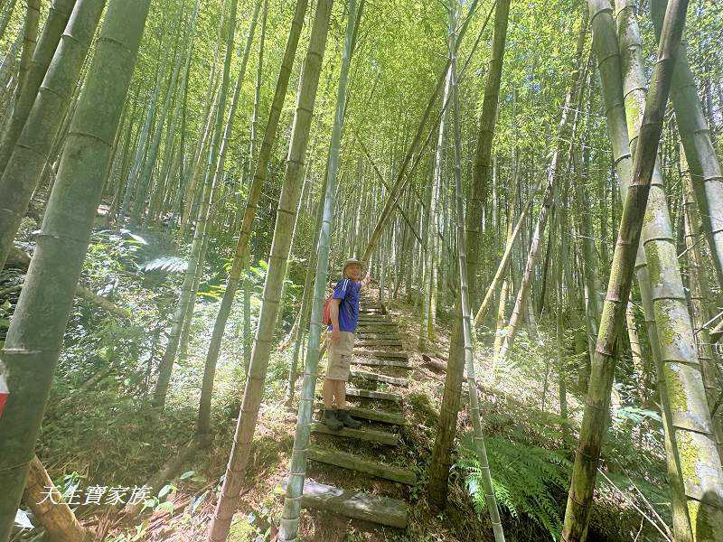 南投景點、溪頭步道、溪頭私房景點、和雅挑竹古道4號-新坪步道、挑竹古道4號、新坪步道、和雅挑竹古道7號、和雅挑竹古道、鹿谷挑竹古道、