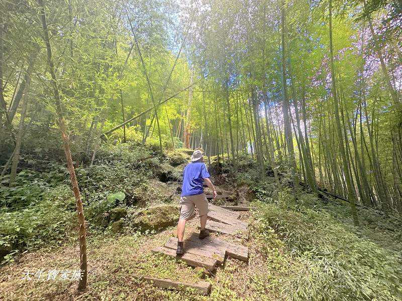 南投景點、溪頭步道、溪頭私房景點、和雅挑竹古道4號-新坪步道、挑竹古道4號、新坪步道、和雅挑竹古道7號、和雅挑竹古道、鹿谷挑竹古道、