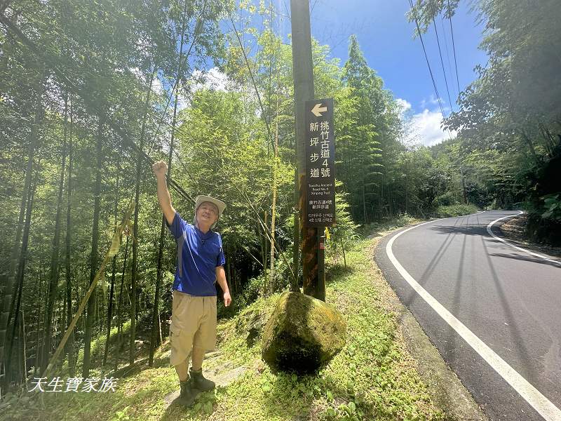 南投景點、溪頭步道、溪頭私房景點、和雅挑竹古道4號-新坪步道、挑竹古道4號、新坪步道、和雅挑竹古道7號、和雅挑竹古道、鹿谷挑竹古道、