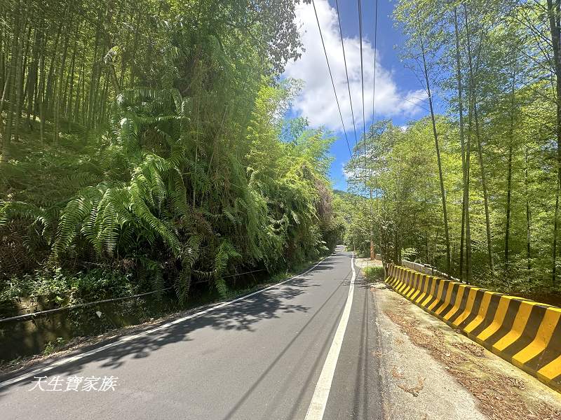 南投景點、溪頭步道、溪頭私房景點、和雅挑竹古道4號-新坪步道、挑竹古道4號、新坪步道、和雅挑竹古道7號、和雅挑竹古道、鹿谷挑竹古道、