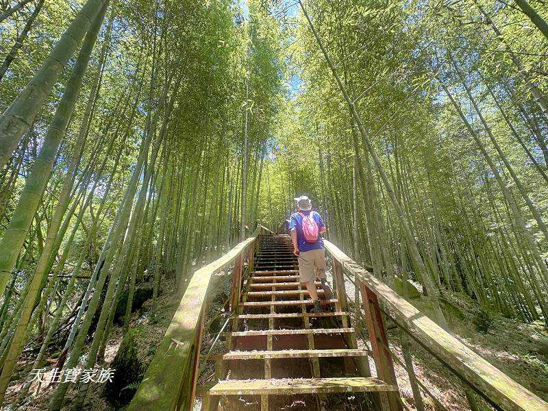 南投景點、鹿谷、溪頭景點、挑竹古道5號、鶴山步道、挑竹古道、鶴山步道登山口、和雅挑竹古道5號、溪頭步道