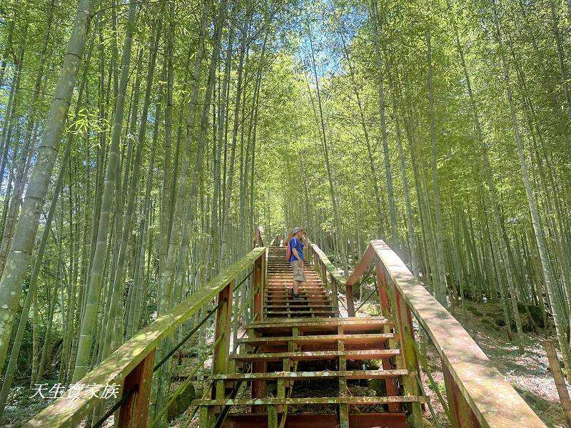 南投景點、鹿谷、溪頭景點、挑竹古道5號、鶴山步道、挑竹古道、鶴山步道登山口、和雅挑竹古道5號、溪頭步道