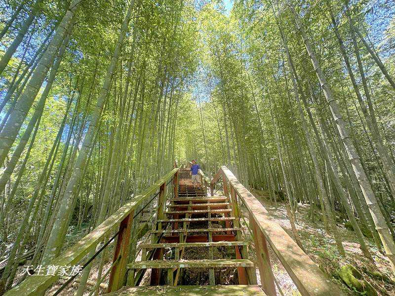 南投景點、鹿谷、溪頭景點、挑竹古道5號、鶴山步道、挑竹古道、鶴山步道登山口、和雅挑竹古道5號、溪頭步道