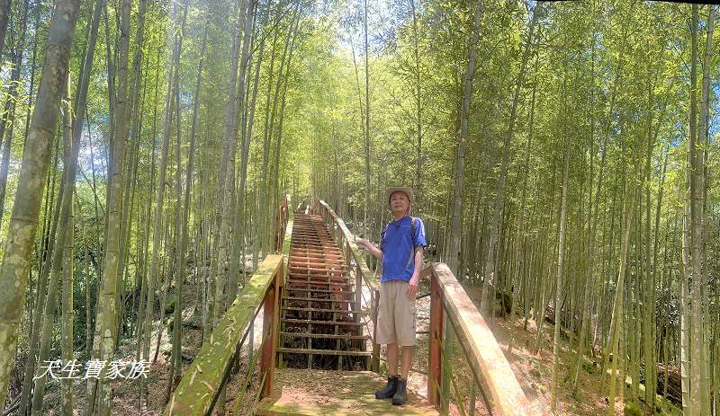 南投景點、鹿谷、溪頭景點、挑竹古道5號、鶴山步道、挑竹古道、鶴山步道登山口、和雅挑竹古道5號、溪頭步道