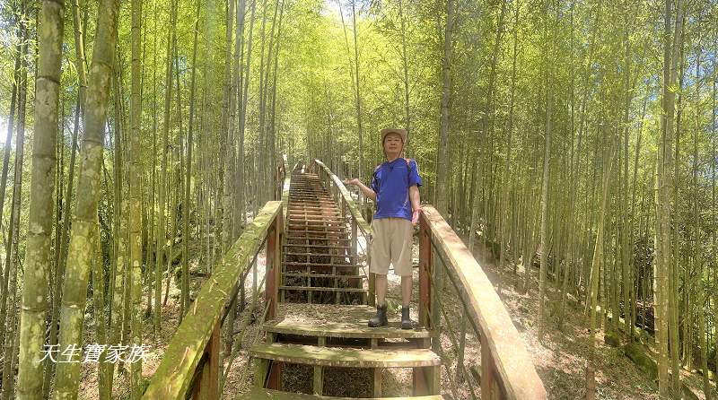 南投景點、鹿谷、溪頭景點、挑竹古道5號、鶴山步道、挑竹古道、鶴山步道登山口、和雅挑竹古道5號、溪頭步道