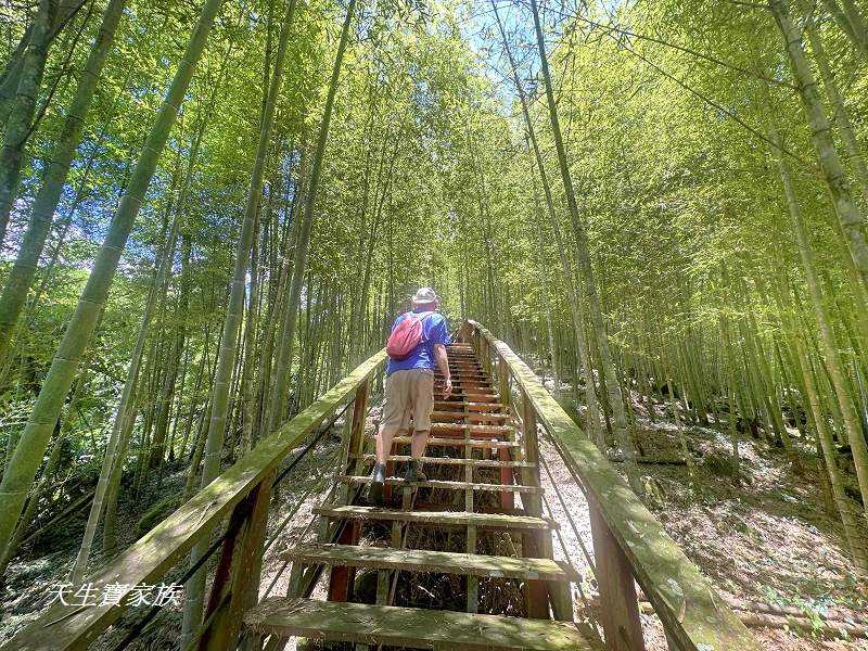 南投景點、鹿谷、溪頭景點、挑竹古道5號、鶴山步道、挑竹古道、鶴山步道登山口、和雅挑竹古道5號、溪頭步道