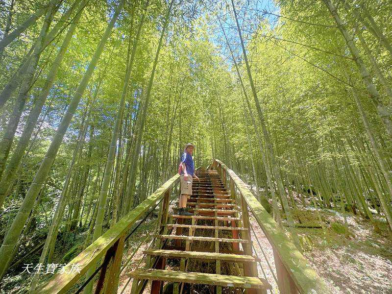 南投景點、鹿谷、溪頭景點、挑竹古道5號、鶴山步道、挑竹古道、鶴山步道登山口、和雅挑竹古道5號、溪頭步道