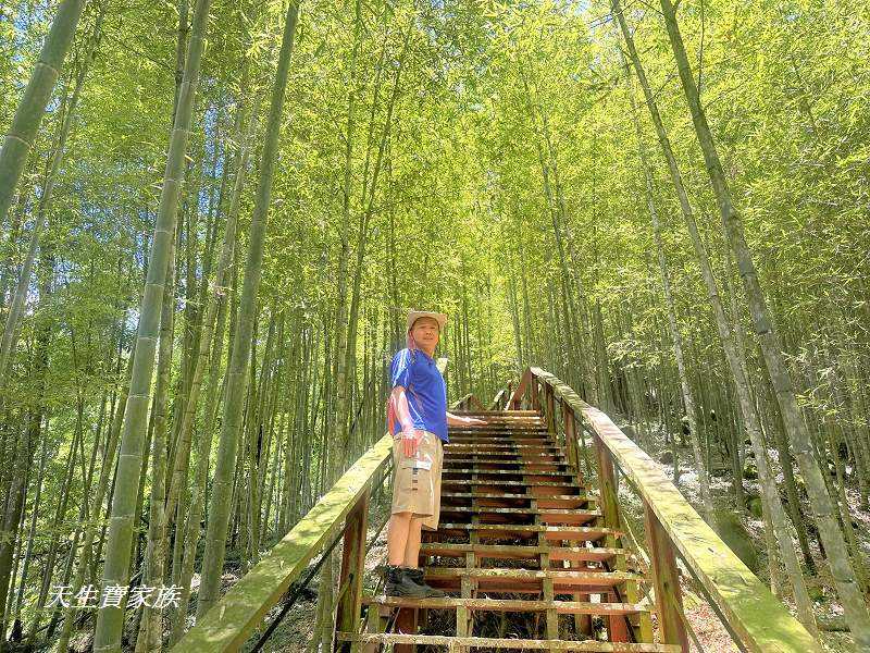 南投景點、鹿谷、溪頭景點、挑竹古道5號、鶴山步道、挑竹古道、鶴山步道登山口、和雅挑竹古道5號、溪頭步道