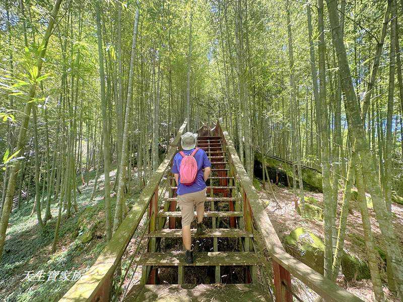 南投景點、鹿谷、溪頭景點、挑竹古道5號、鶴山步道、挑竹古道、鶴山步道登山口、和雅挑竹古道5號、溪頭步道