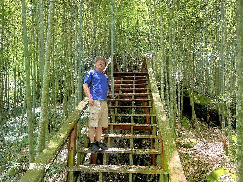 南投景點、鹿谷、溪頭景點、挑竹古道5號、鶴山步道、挑竹古道、鶴山步道登山口、和雅挑竹古道5號、溪頭步道