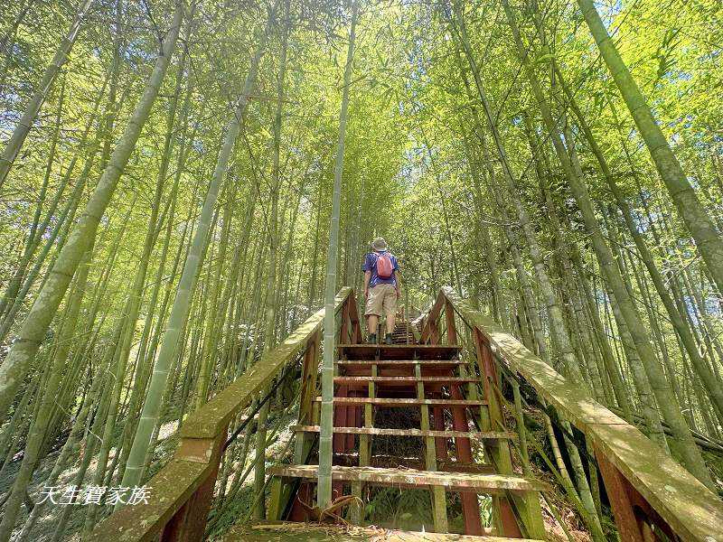 南投景點、鹿谷、溪頭景點、挑竹古道5號、鶴山步道、挑竹古道、鶴山步道登山口、和雅挑竹古道5號、溪頭步道