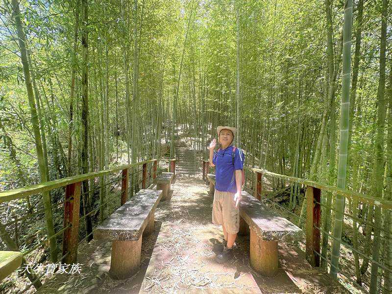 南投景點、鹿谷、溪頭景點、挑竹古道5號、鶴山步道、挑竹古道、鶴山步道登山口、和雅挑竹古道5號、溪頭步道