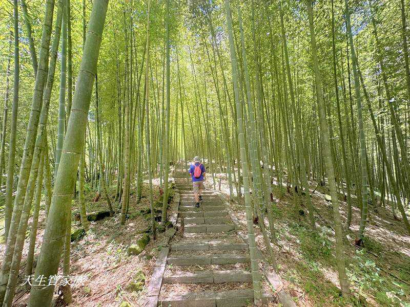 南投景點、鹿谷、溪頭景點、挑竹古道5號、鶴山步道、挑竹古道、鶴山步道登山口、和雅挑竹古道5號、溪頭步道