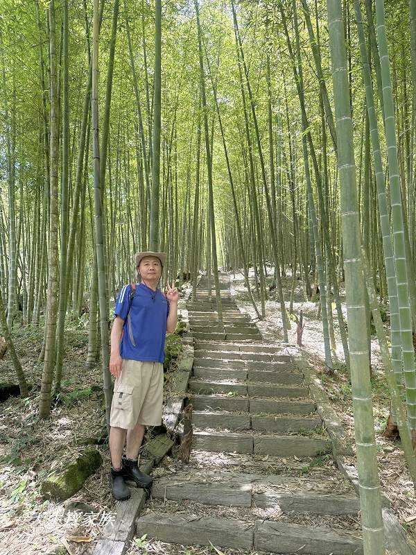 南投景點、鹿谷、溪頭景點、挑竹古道5號、鶴山步道、挑竹古道、鶴山步道登山口、和雅挑竹古道5號、溪頭步道