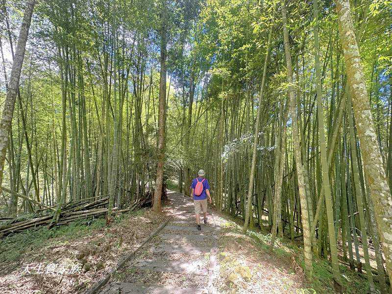 南投景點、鹿谷、溪頭景點、挑竹古道5號、鶴山步道、挑竹古道、鶴山步道登山口、和雅挑竹古道5號、溪頭步道