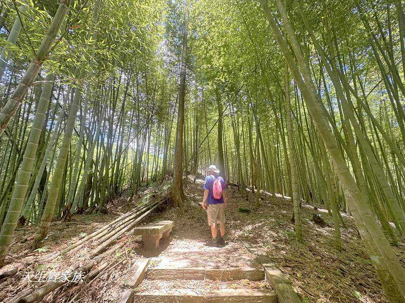 南投景點、鹿谷、溪頭景點、挑竹古道5號、鶴山步道、挑竹古道、鶴山步道登山口、和雅挑竹古道5號、溪頭步道