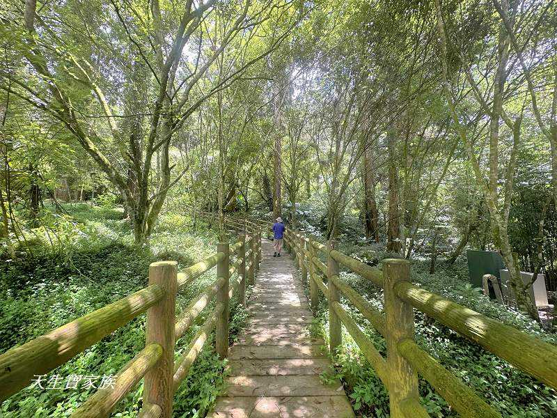 南投步道、夏天避暑、溪頭步道、溪頭私房景點、溪頭避暑登山、溪頭景點、延溪竹林步道、米堤百年秘徑、溪頭山、竹崙山、志騰山、快活林、忘憂森林