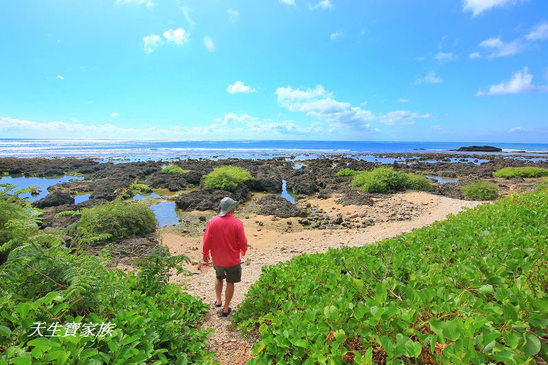 萬里桐秘境、萬里桐潮間帶、墾丁潮間帶、萬里桐潮間帶生物、萬里桐漁港、萬里桐危險、萬里桐小漁村、萬里桐美食、萬里桐潮間帶秘境