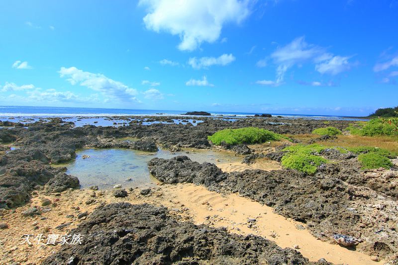 萬里桐秘境、萬里桐潮間帶、墾丁潮間帶、萬里桐潮間帶生物、萬里桐漁港、萬里桐危險、萬里桐小漁村、萬里桐美食、萬里桐潮間帶秘境