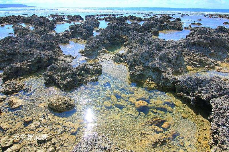 萬里桐秘境、萬里桐潮間帶、墾丁潮間帶、萬里桐潮間帶生物、萬里桐漁港、萬里桐危險、萬里桐小漁村、萬里桐美食、萬里桐潮間帶秘境