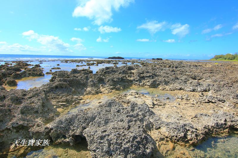 萬里桐秘境、萬里桐潮間帶、墾丁潮間帶、萬里桐潮間帶生物、萬里桐漁港、萬里桐危險、萬里桐小漁村、萬里桐美食、萬里桐潮間帶秘境