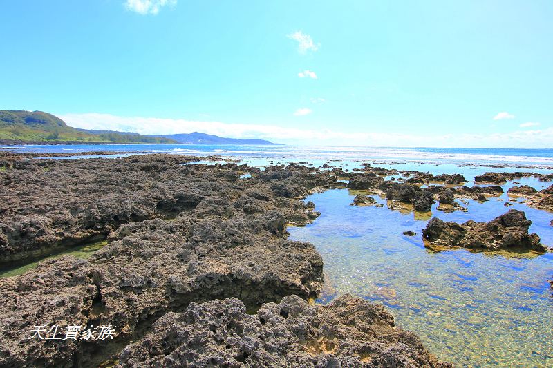 萬里桐秘境、萬里桐潮間帶、墾丁潮間帶、萬里桐潮間帶生物、萬里桐漁港、萬里桐危險、萬里桐小漁村、萬里桐美食、萬里桐潮間帶秘境