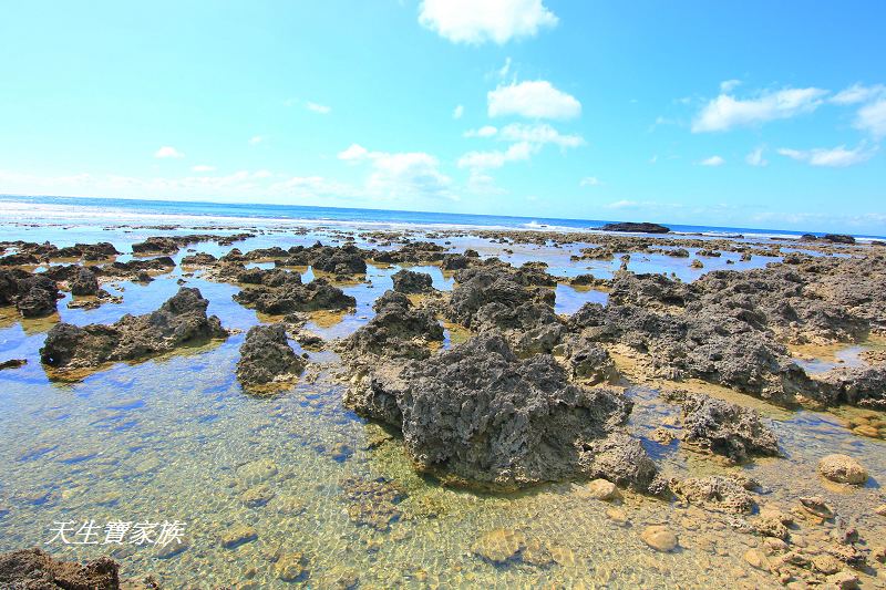 萬里桐秘境、萬里桐潮間帶、墾丁潮間帶、萬里桐潮間帶生物、萬里桐漁港、萬里桐危險、萬里桐小漁村、萬里桐美食、萬里桐潮間帶秘境