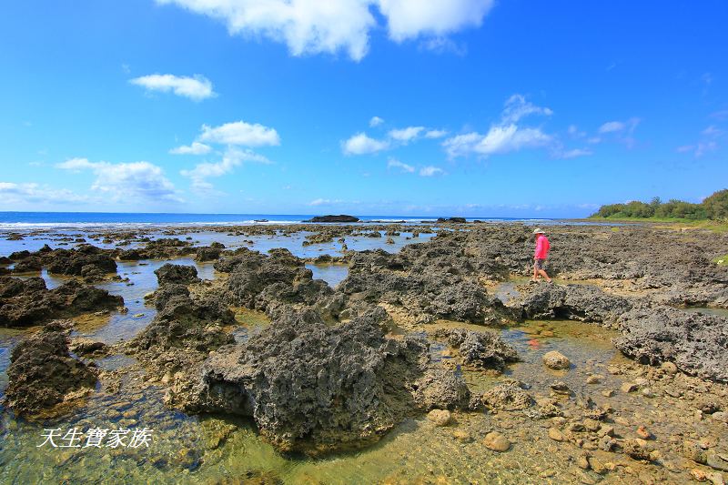 萬里桐秘境、萬里桐潮間帶、墾丁潮間帶、萬里桐潮間帶生物、萬里桐漁港、萬里桐危險、萬里桐小漁村、萬里桐美食、萬里桐潮間帶秘境