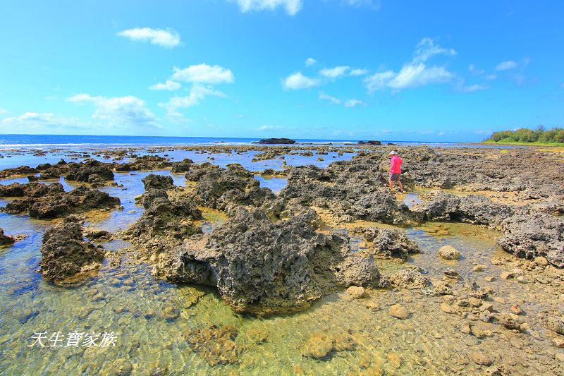 萬里桐秘境、萬里桐潮間帶、墾丁潮間帶、萬里桐潮間帶生物、萬里桐漁港、萬里桐危險、萬里桐小漁村、萬里桐美食、萬里桐潮間帶秘境