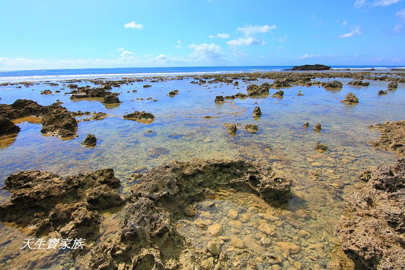 萬里桐秘境、萬里桐潮間帶、墾丁潮間帶、萬里桐潮間帶生物、萬里桐漁港、萬里桐危險、萬里桐小漁村、萬里桐美食、萬里桐潮間帶秘境