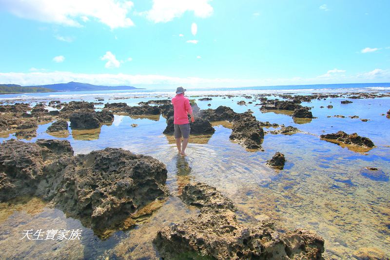 萬里桐秘境、萬里桐潮間帶、墾丁潮間帶、萬里桐潮間帶生物、萬里桐漁港、萬里桐危險、萬里桐小漁村、萬里桐美食、萬里桐潮間帶秘境