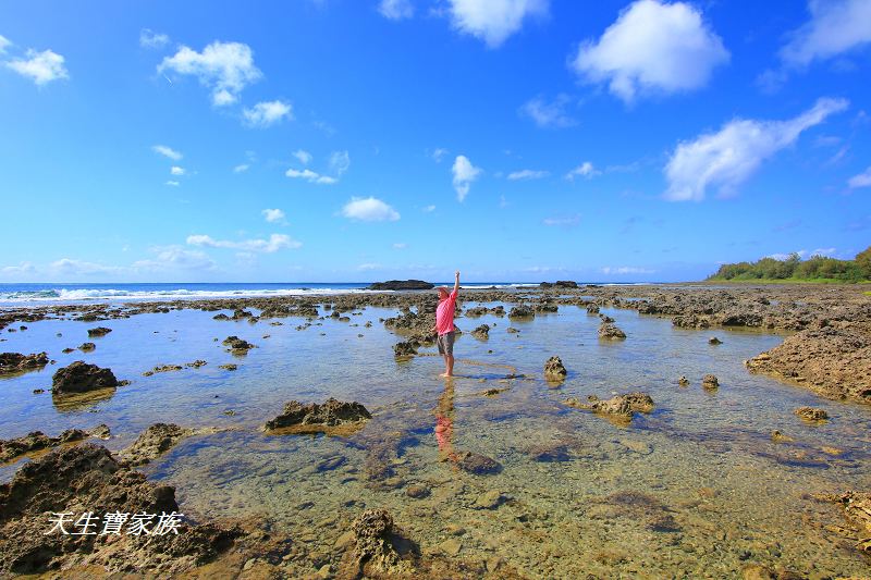 萬里桐秘境、萬里桐潮間帶、墾丁潮間帶、萬里桐潮間帶生物、萬里桐漁港、萬里桐危險、萬里桐小漁村、萬里桐美食、萬里桐潮間帶秘境