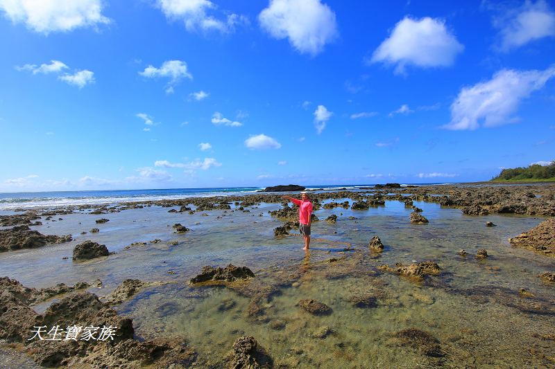 萬里桐秘境、萬里桐潮間帶、墾丁潮間帶、萬里桐潮間帶生物、萬里桐漁港、萬里桐危險、萬里桐小漁村、萬里桐美食、萬里桐潮間帶秘境