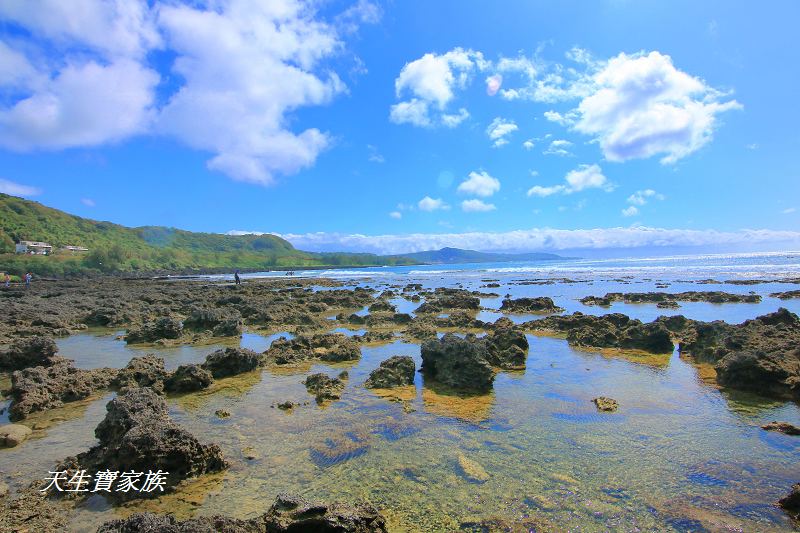 萬里桐秘境、萬里桐潮間帶、墾丁潮間帶、萬里桐潮間帶生物、萬里桐漁港、萬里桐危險、萬里桐小漁村、萬里桐美食、萬里桐潮間帶秘境