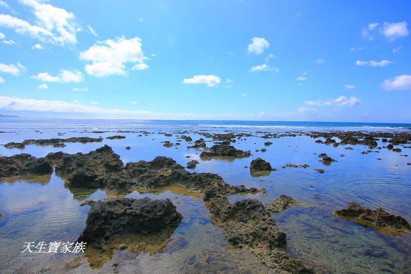 萬里桐秘境、萬里桐潮間帶、墾丁潮間帶、萬里桐潮間帶生物、萬里桐漁港、萬里桐危險、萬里桐小漁村、萬里桐美食、萬里桐潮間帶秘境