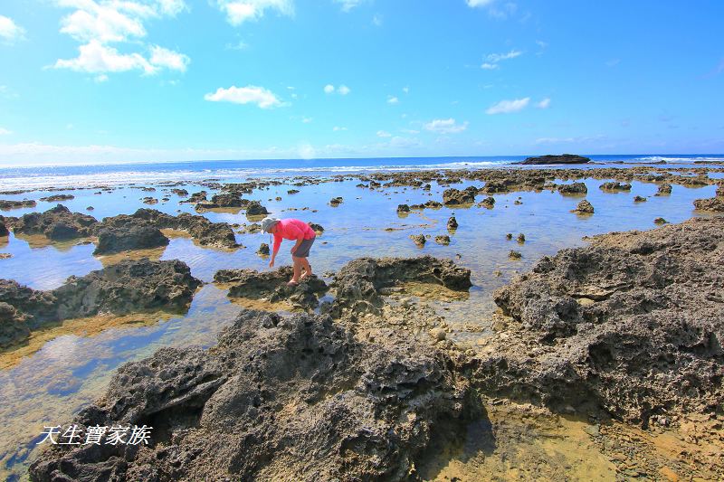 萬里桐秘境、萬里桐潮間帶、墾丁潮間帶、萬里桐潮間帶生物、萬里桐漁港、萬里桐危險、萬里桐小漁村、萬里桐美食、萬里桐潮間帶秘境