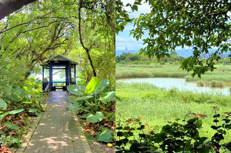 網站近期文章：台北北投【關渡自然公園】國際級濕地，生態充滿驚喜感