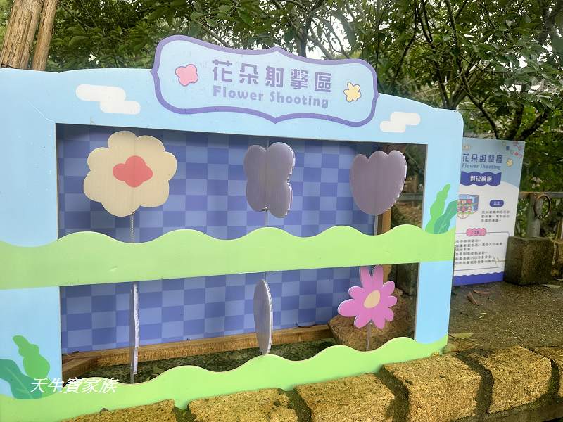 南投玩水、埔里玩水、桃米親水公園、埔里親子遊、桃米親水公園2024、桃米親水公園開放時間、桃米親水公園附近景點、桃米生態村